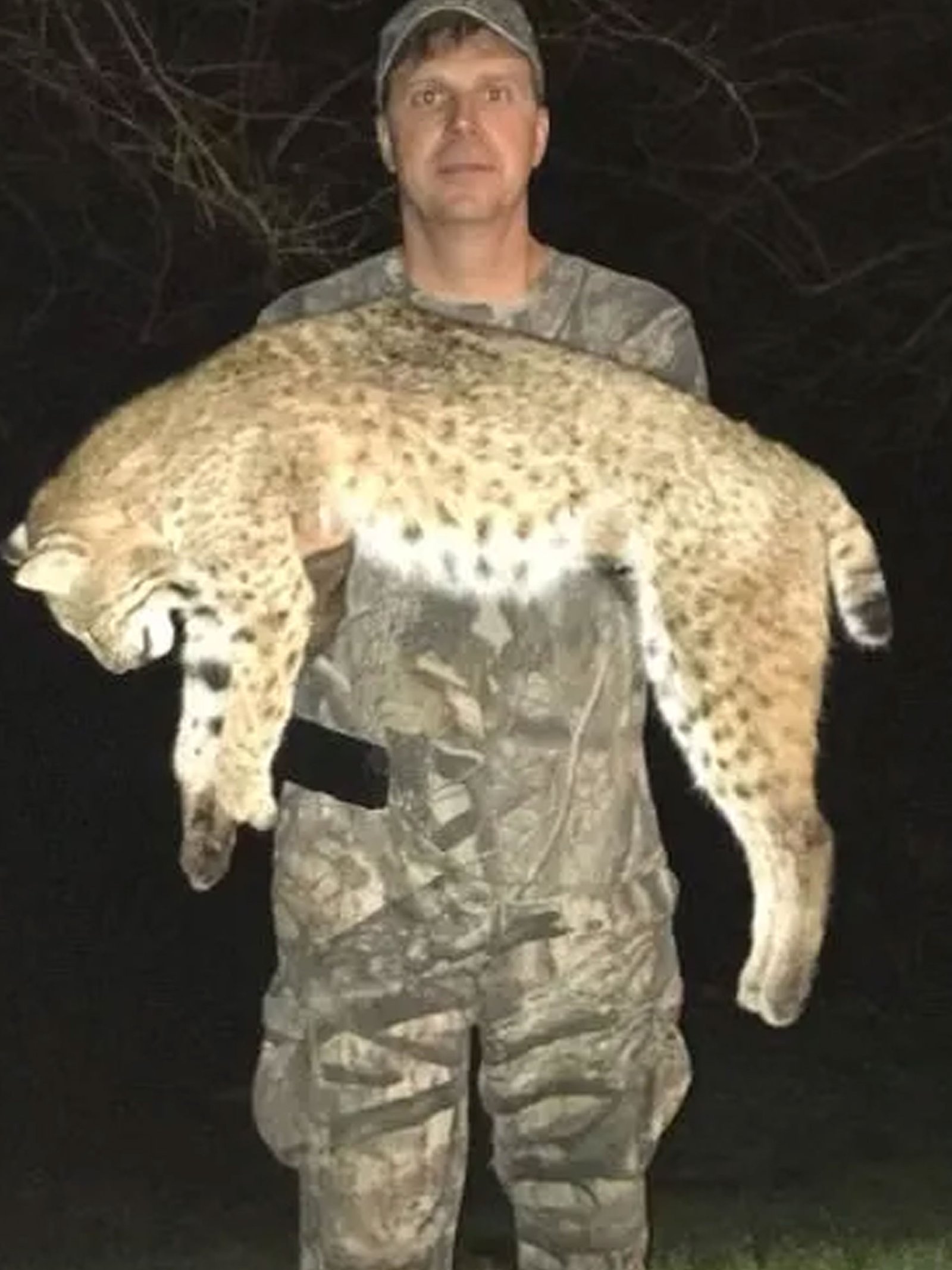 a8